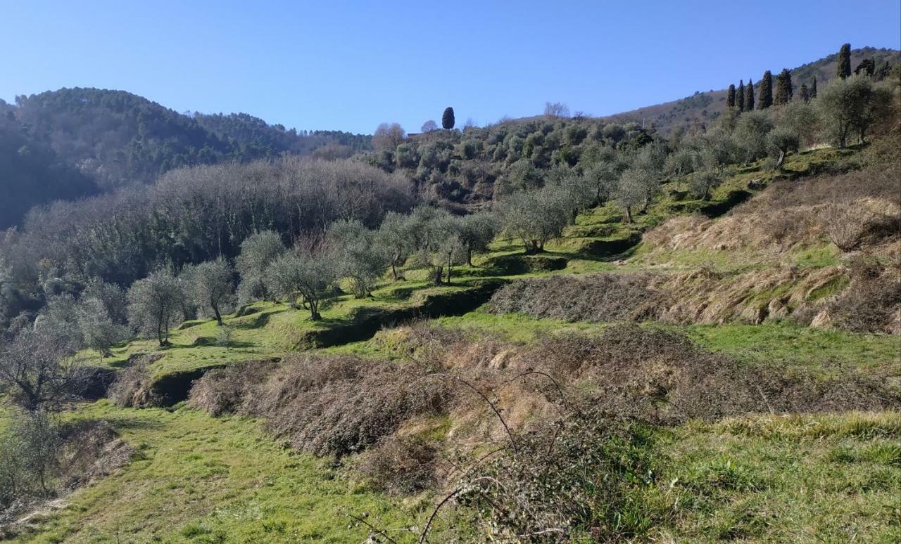 Il Silenzio Leilighet Lucca Eksteriør bilde